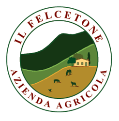 Logo-Felcetone-Seggiano