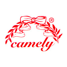 Logo-Camely-DesignR.png