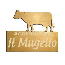 Logo-Mugello