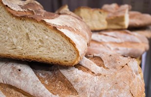 toscana_pane_sciapo.jpg