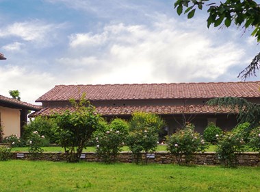 le lavande