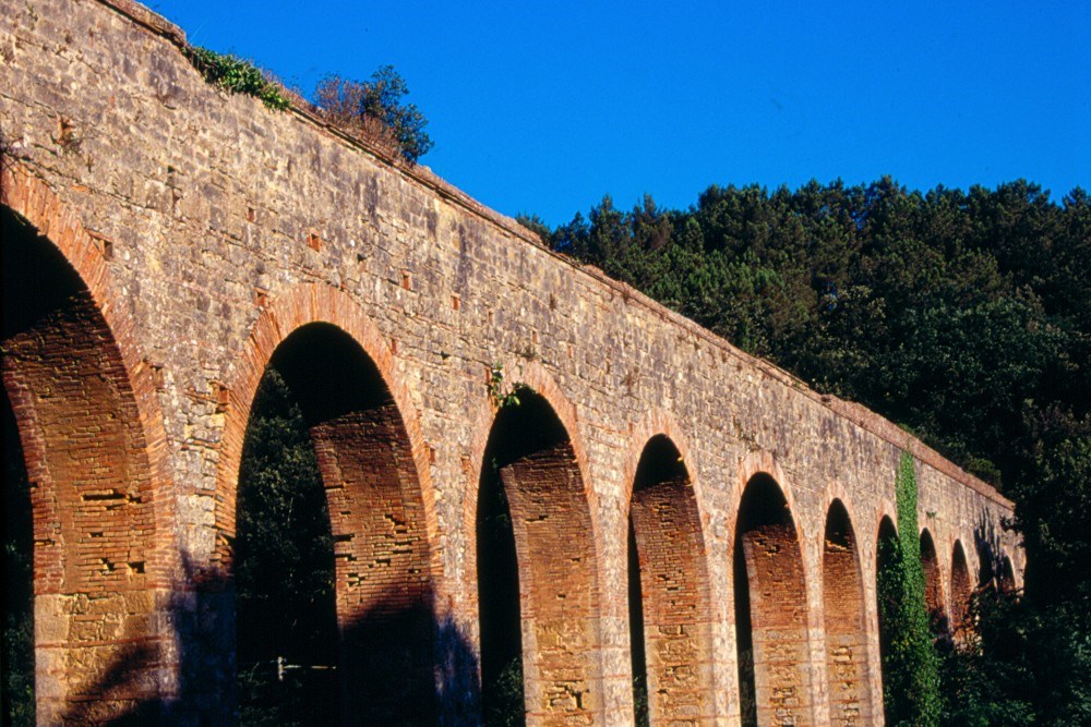 Collesalvetti