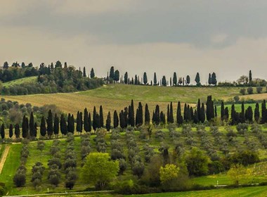 poggio-regini-castellina-in-chianti