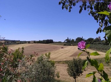 azienda-agricola-villa-la-lodola