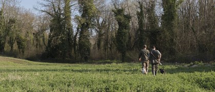 Searching Tuscan Truffle