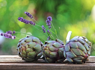 Carciofo-Violetto-della-Val-di-Cornia