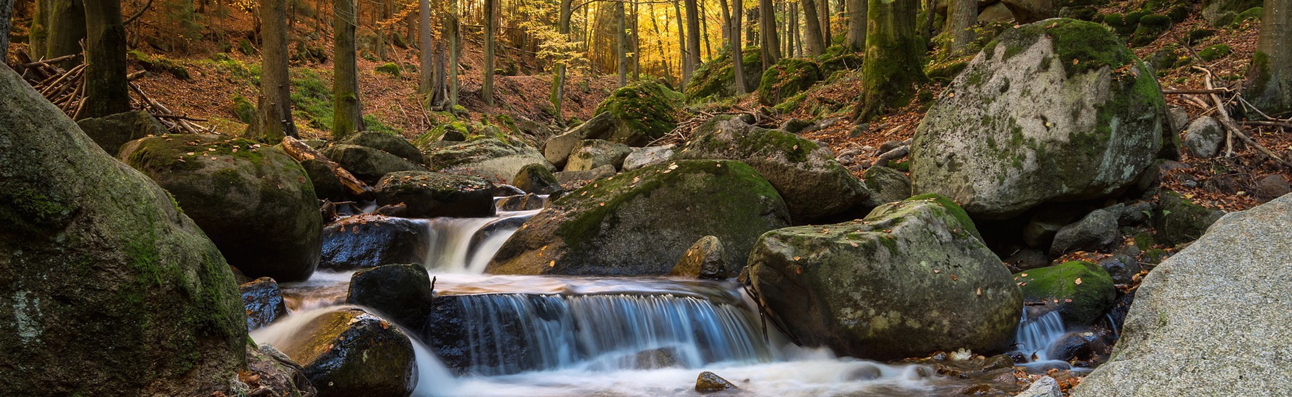 Casentino, image size:2600x800