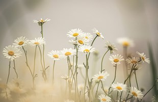 kristine-cinate-PflhlrORvx0-unsplash.jpg