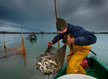 Pesca-tradizionale-della-Laguna-di-Orbetello