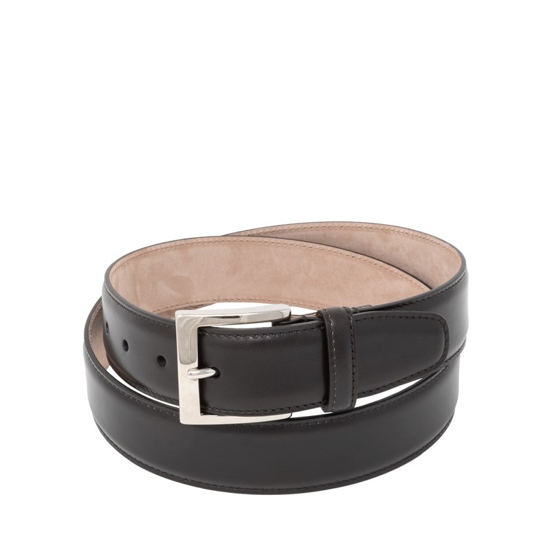 fabiani belt price