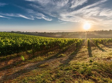 tuscany-Cavallone